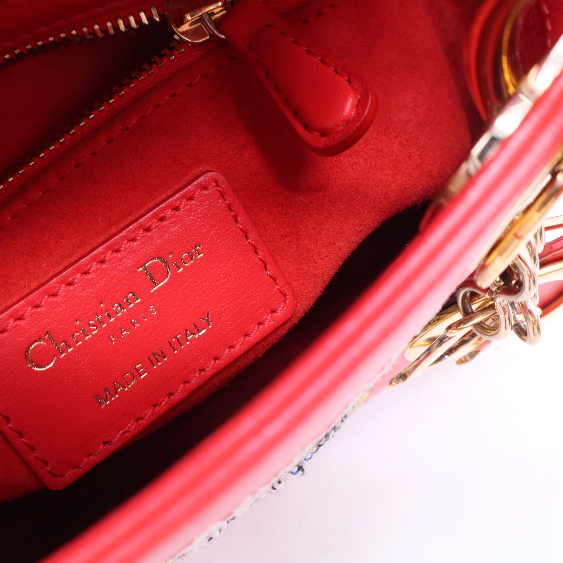 Lady Dior Chain Bag Limited Edition Niki de Saint Phalle Embroidered Leather Mini B20224