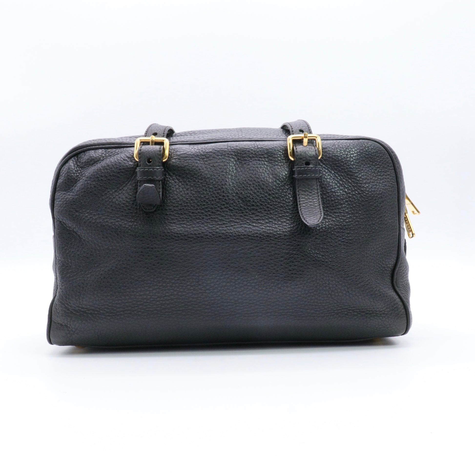 Arcadie leather handbag twins
