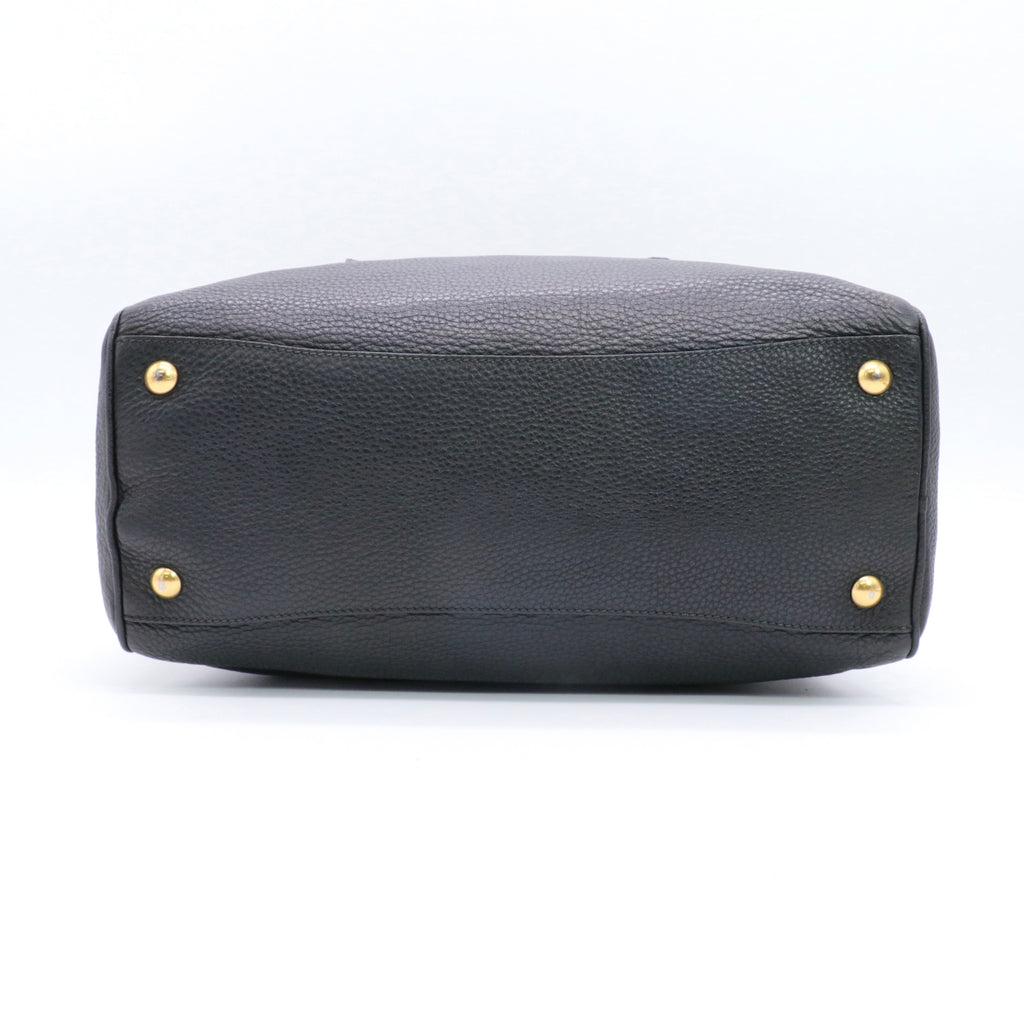 Arcadie leather handbag twins