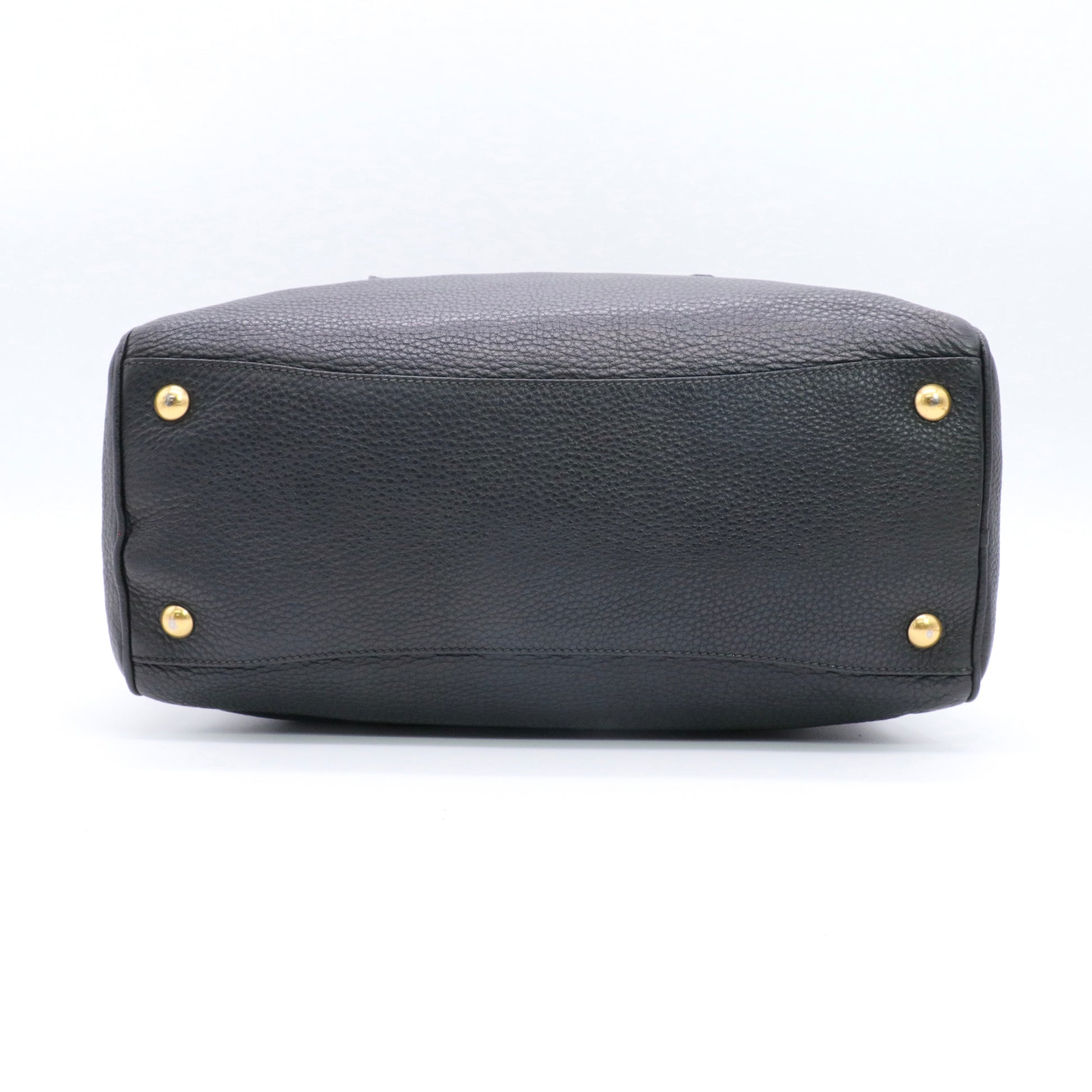 Arcadie leather handbag twins