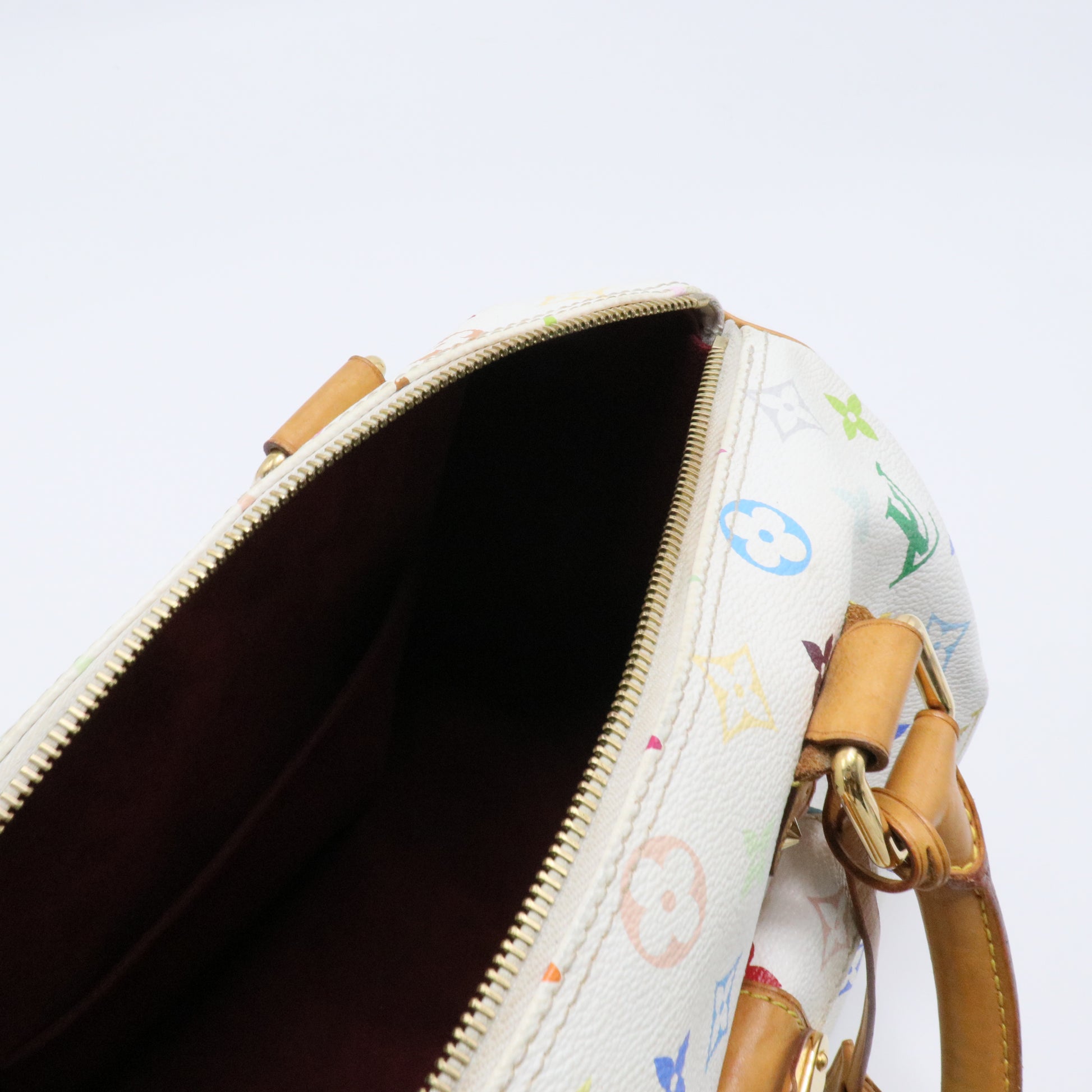 Speedy Handbag Monogram Multicolor 30