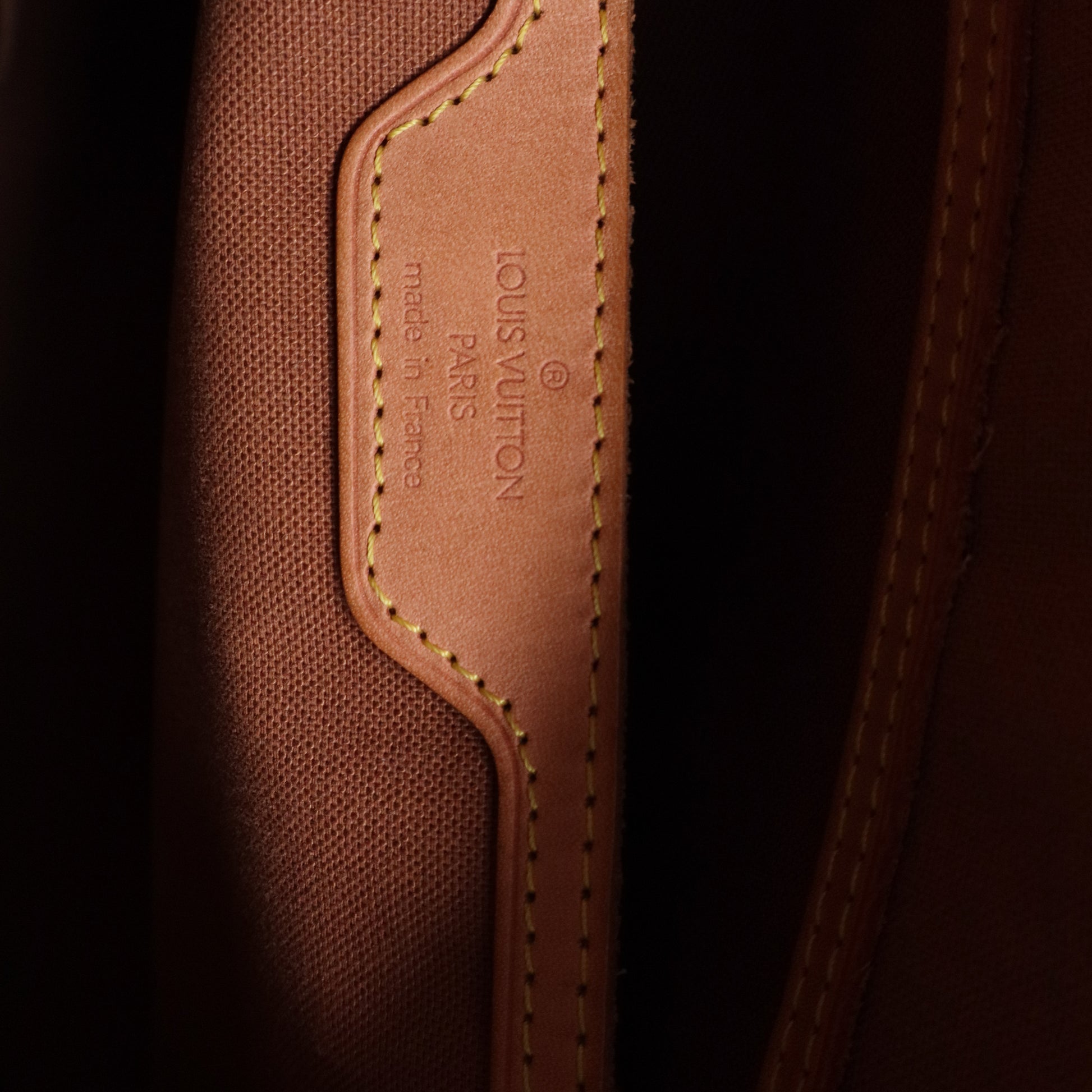 Monogram Cabas Mezzo