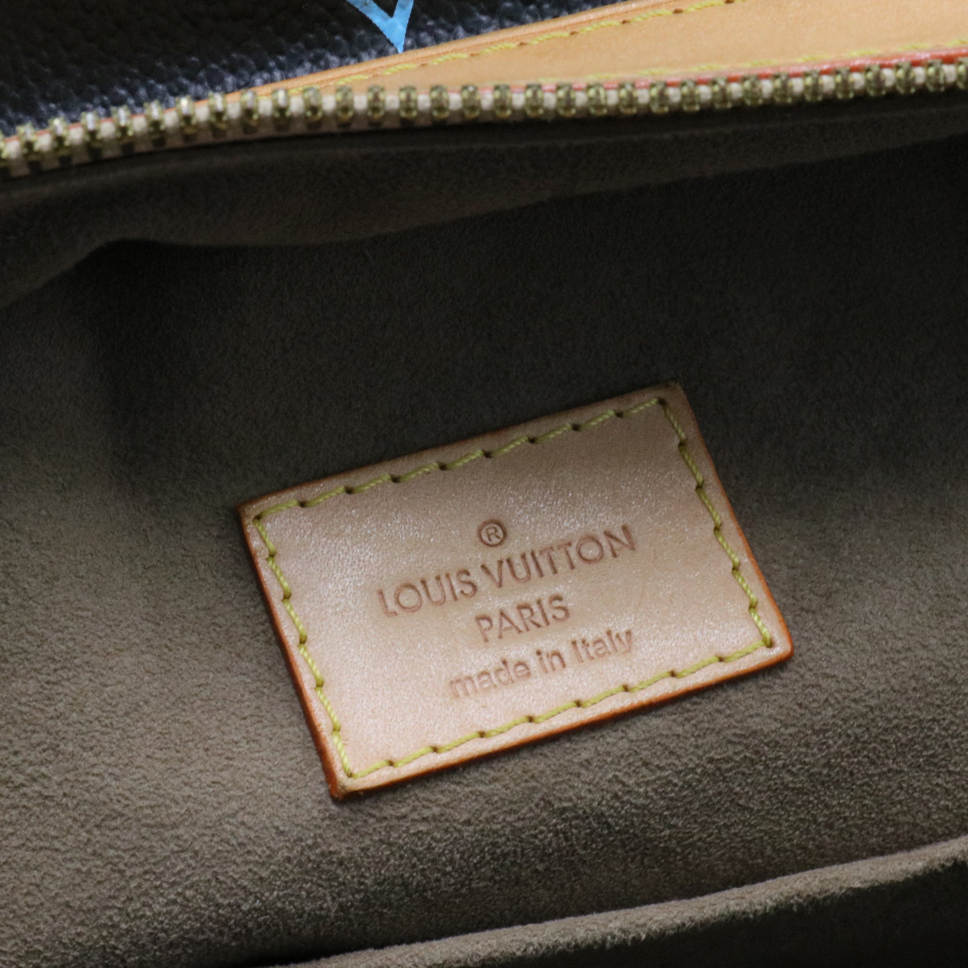 Claudia Handbag Monogram Multicolor