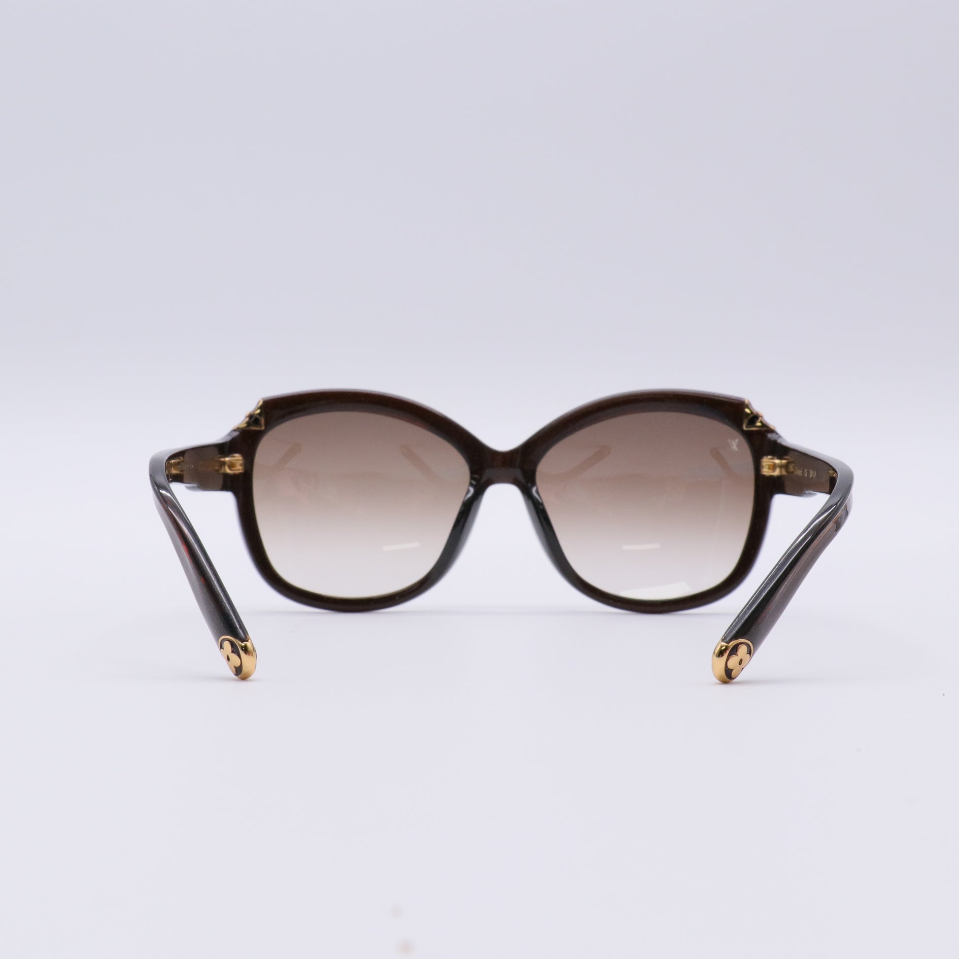 Acetate Hortensia Cat Eye Sunglasses Z0486W Brown Glitter twins