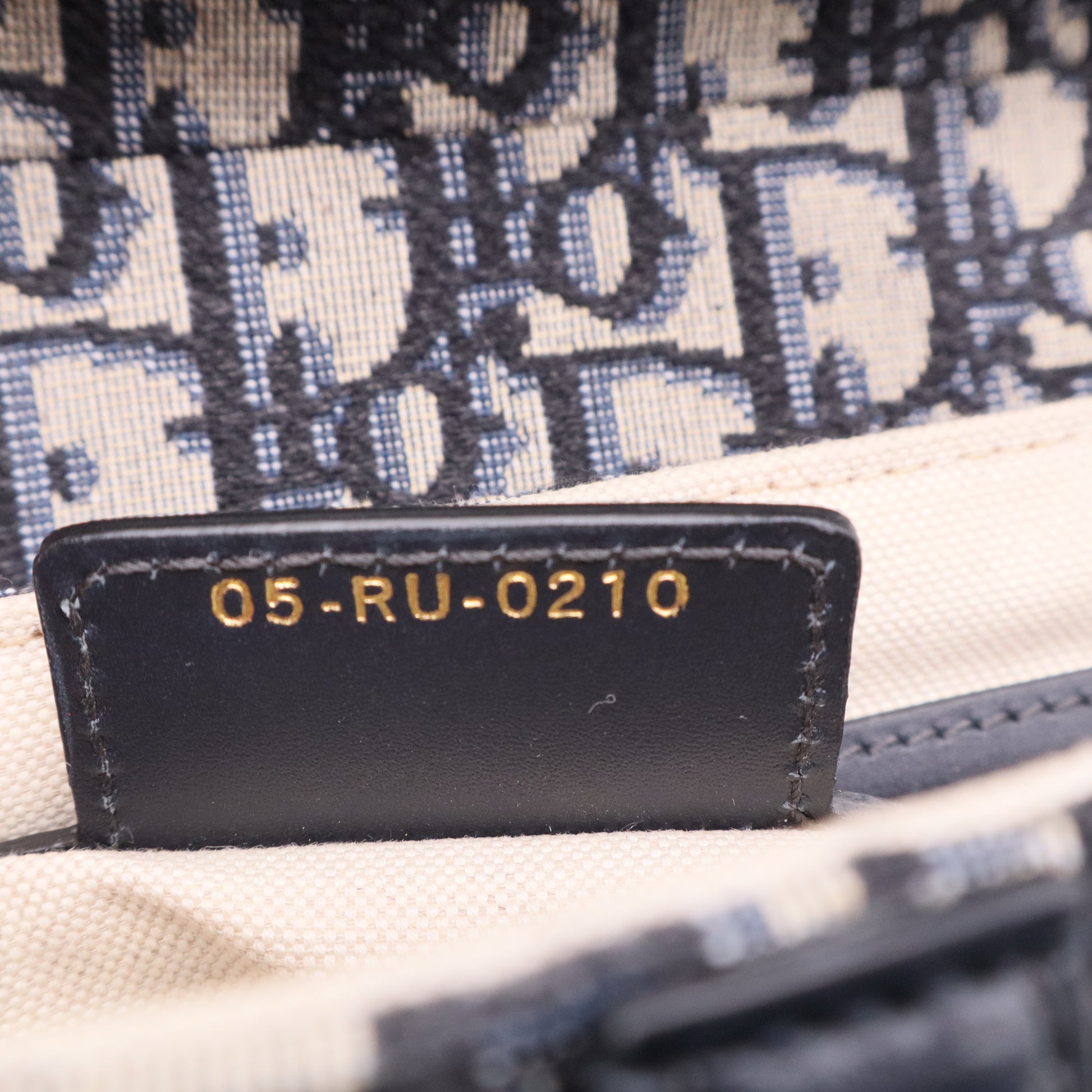 Dior Saddle Handbag Oblique Canvas Medium Twins