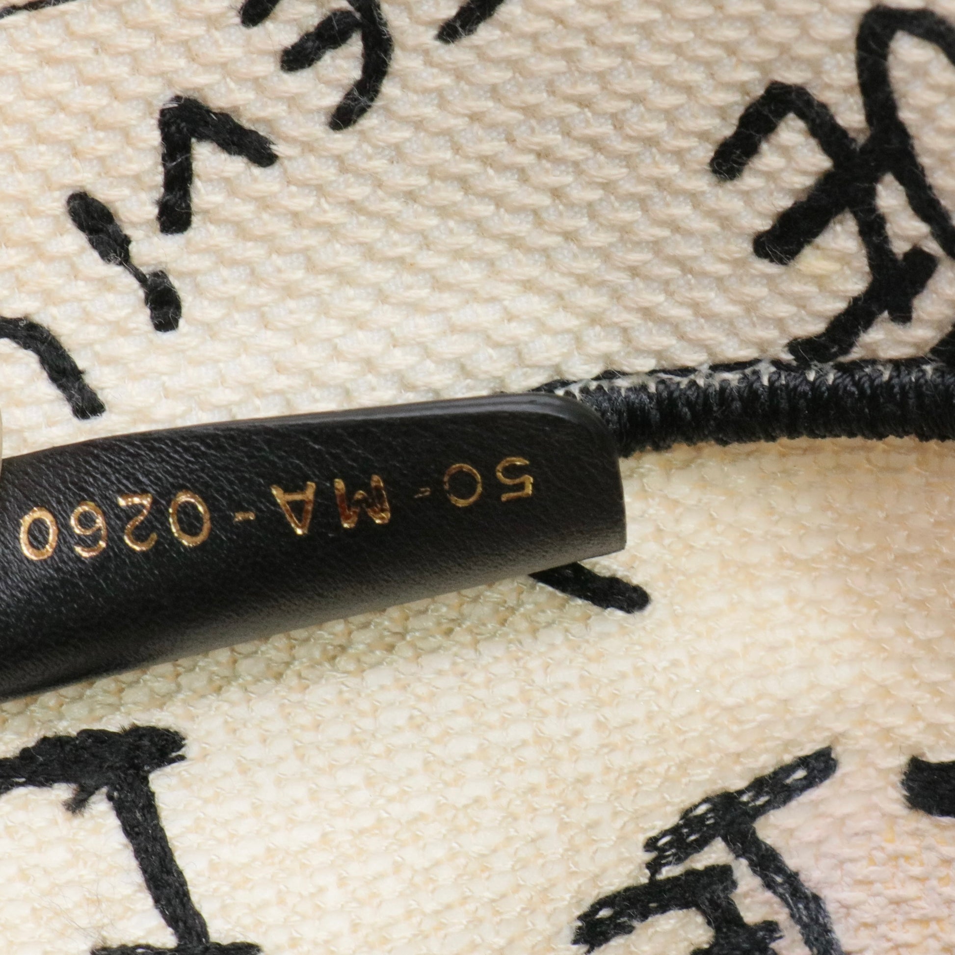 Canvas Embroidered Medium Dioramour Graffiti Book Tote Twins