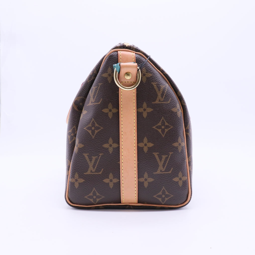 Speedy Bandouliere Bag Monogram Canvas 25 J2164 twins