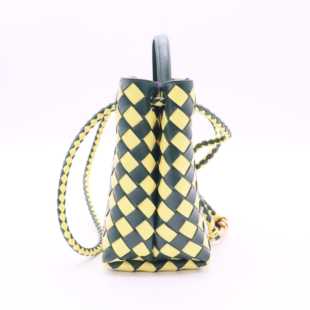 Nappa Bicolor Intrecciato Small Andiamo Bag twins