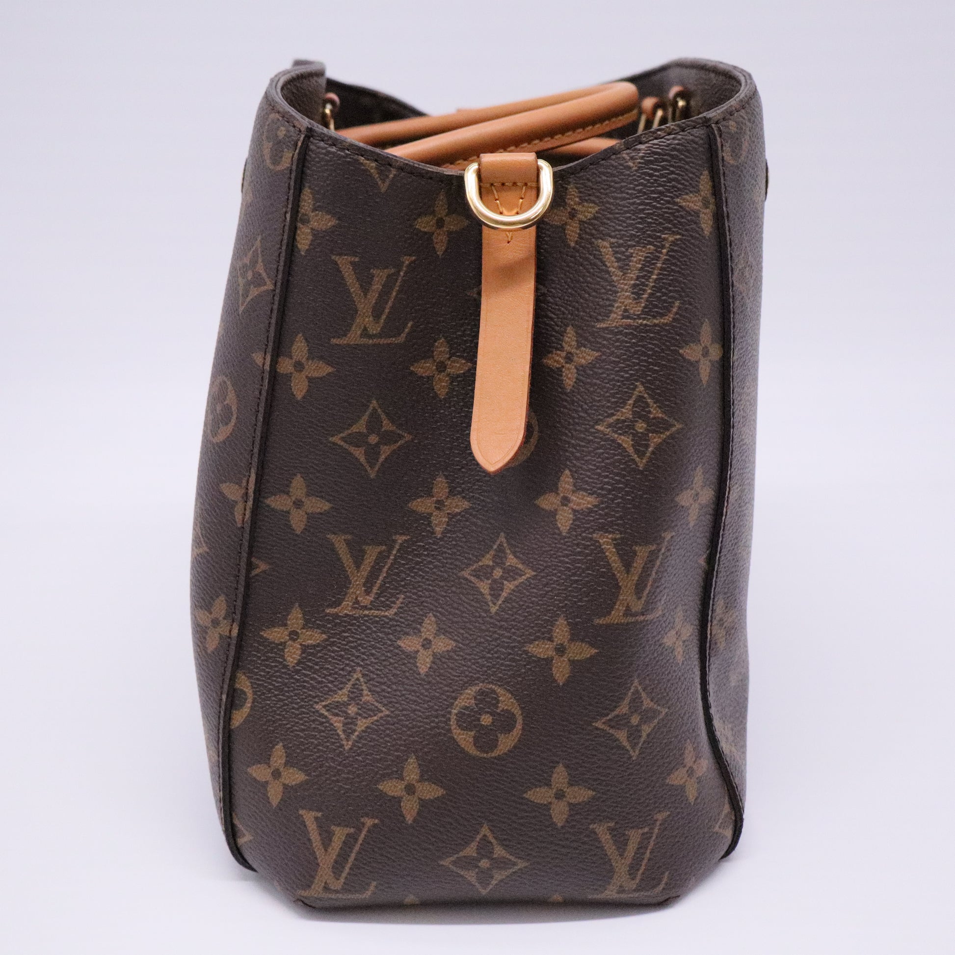 Montaigne Handbag Monogram Canvas MM