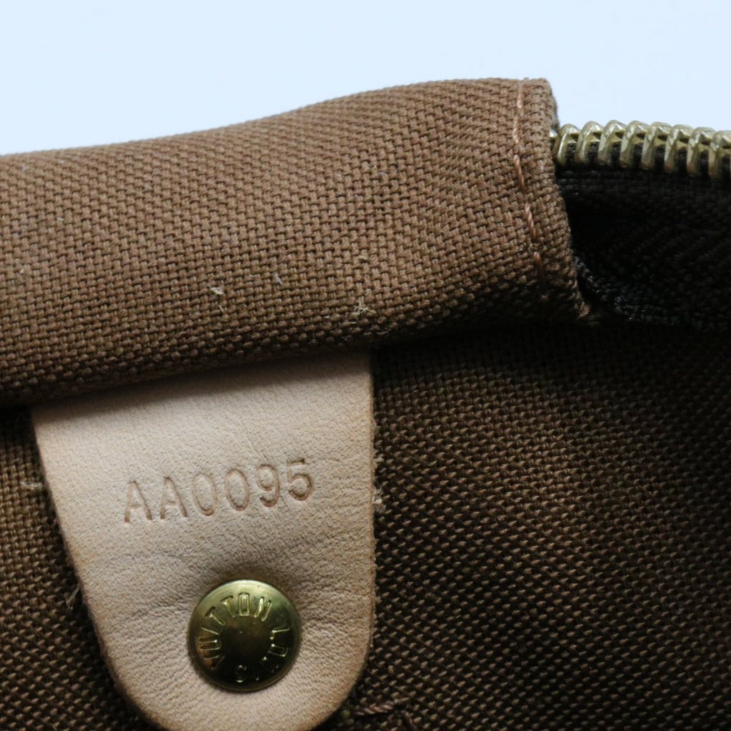 Speedy Handbag Monogram Canvas 30