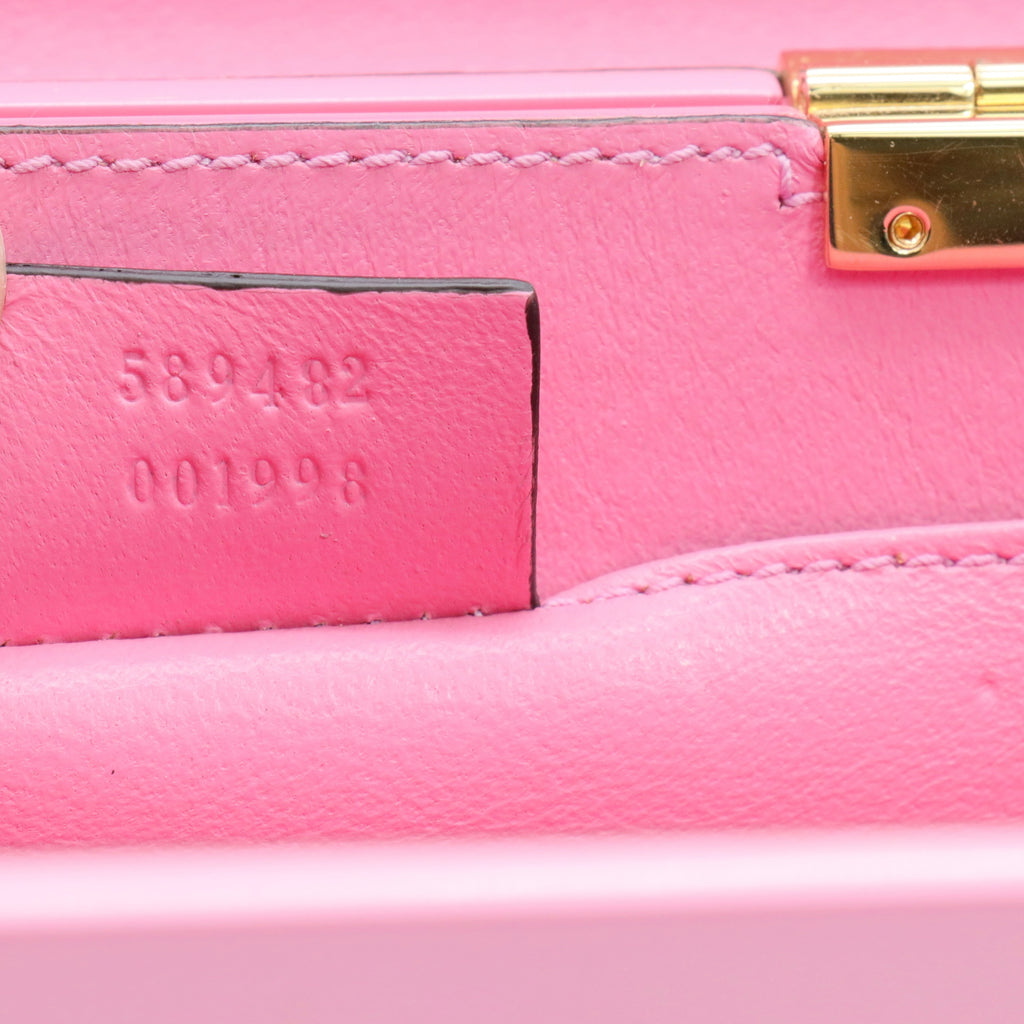 Plexiglass Mini Sylvie 1969 Top Handle Bag Pink twins