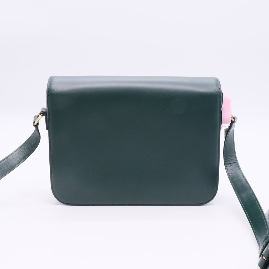 Triomphe Shoulder Bag Smooth Calfskin Medium Twins