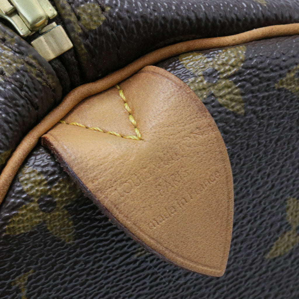 Speedy Handbag Monogram Canvas 30