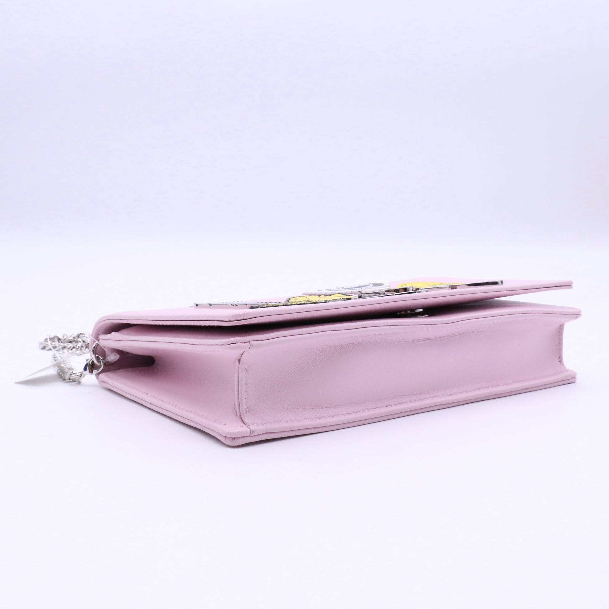 Christian Dior Diorama Wallet on Chain Patch Embellished Leather TWINS LDJ3616