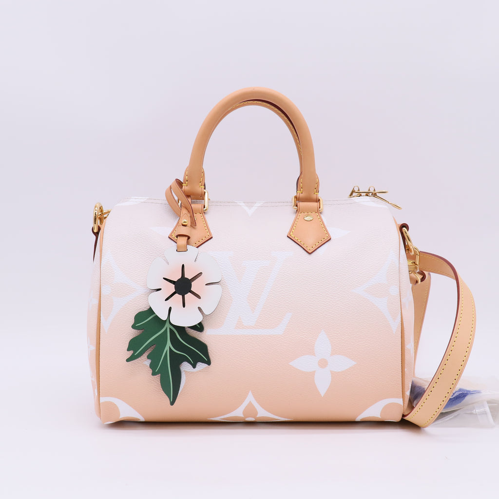 Louis Vuitton Monogram Giant By The Pool Speedy Bandouliere 25 twins LDJ5643
