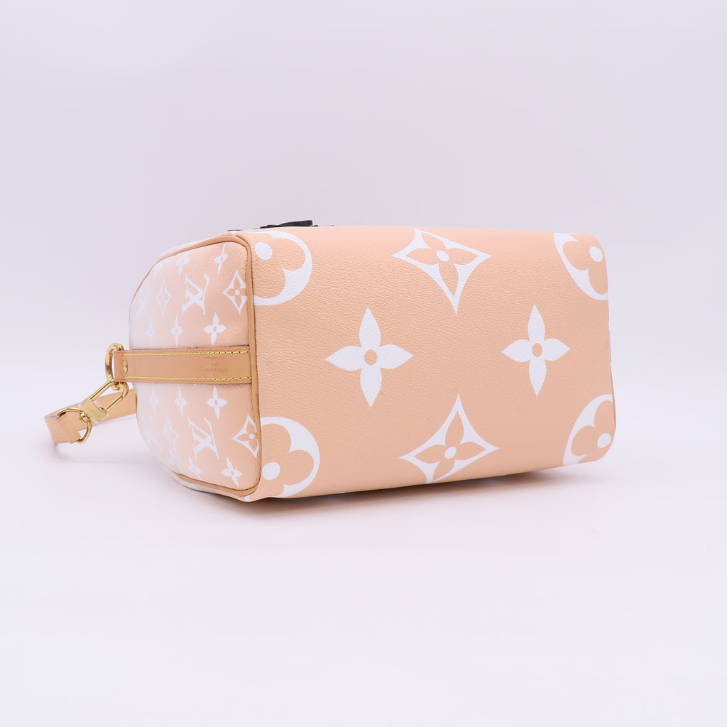 Louis Vuitton Monogram Giant By The Pool Speedy Bandouliere 25 twins LDJ5643
