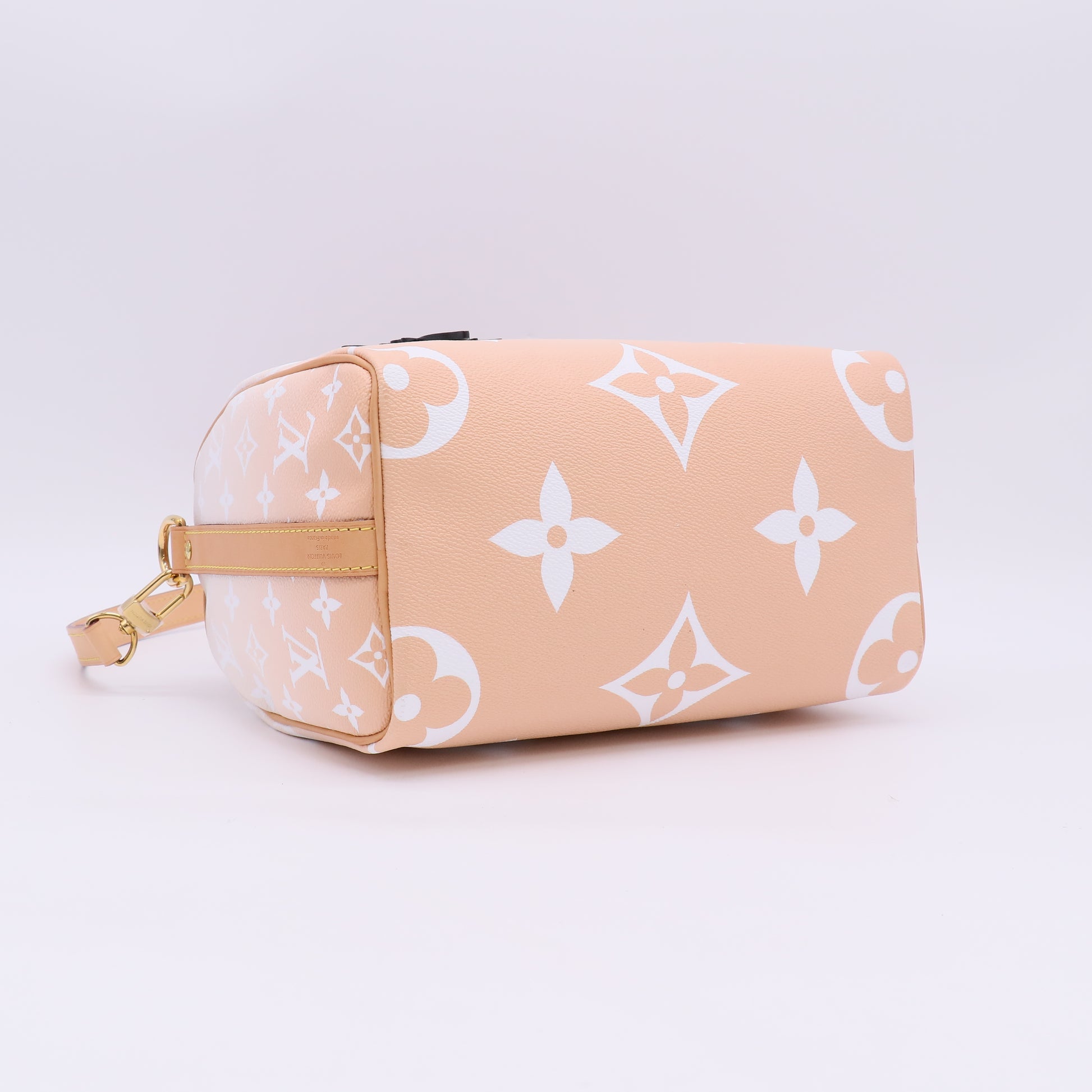 Louis Vuitton Monogram Giant By The Pool Speedy Bandouliere 25 twins LDJ5643