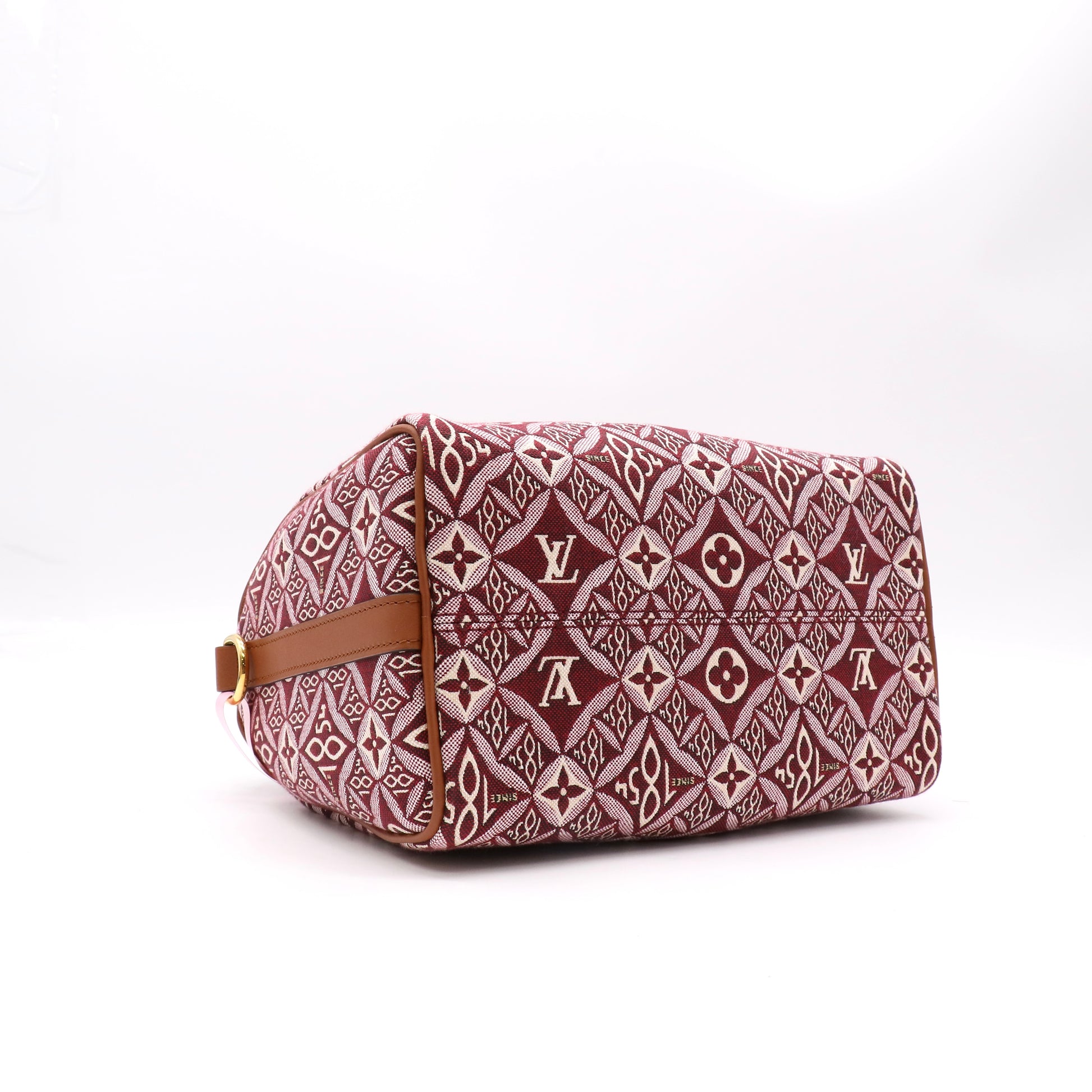 Speedy Bandouliere Bag Limited Edition Since 1854 Monogram Jacquard 25 twins LDJ4993