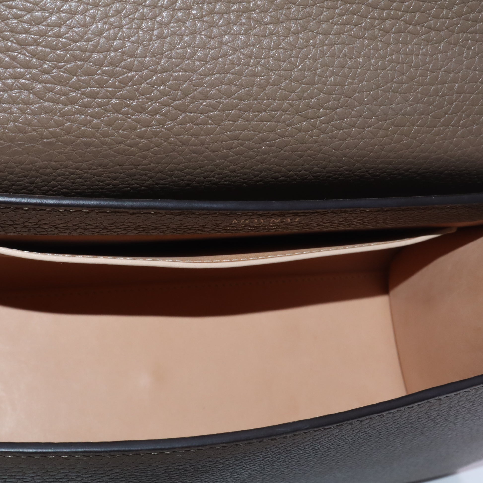 MOYNAT Rejane PM Taurillon Leather Handbag twins LDZ424