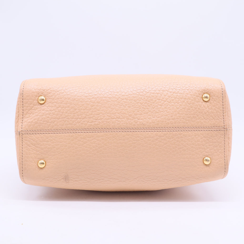Black Pebbled Leather Small Chameleon Tote   B20289