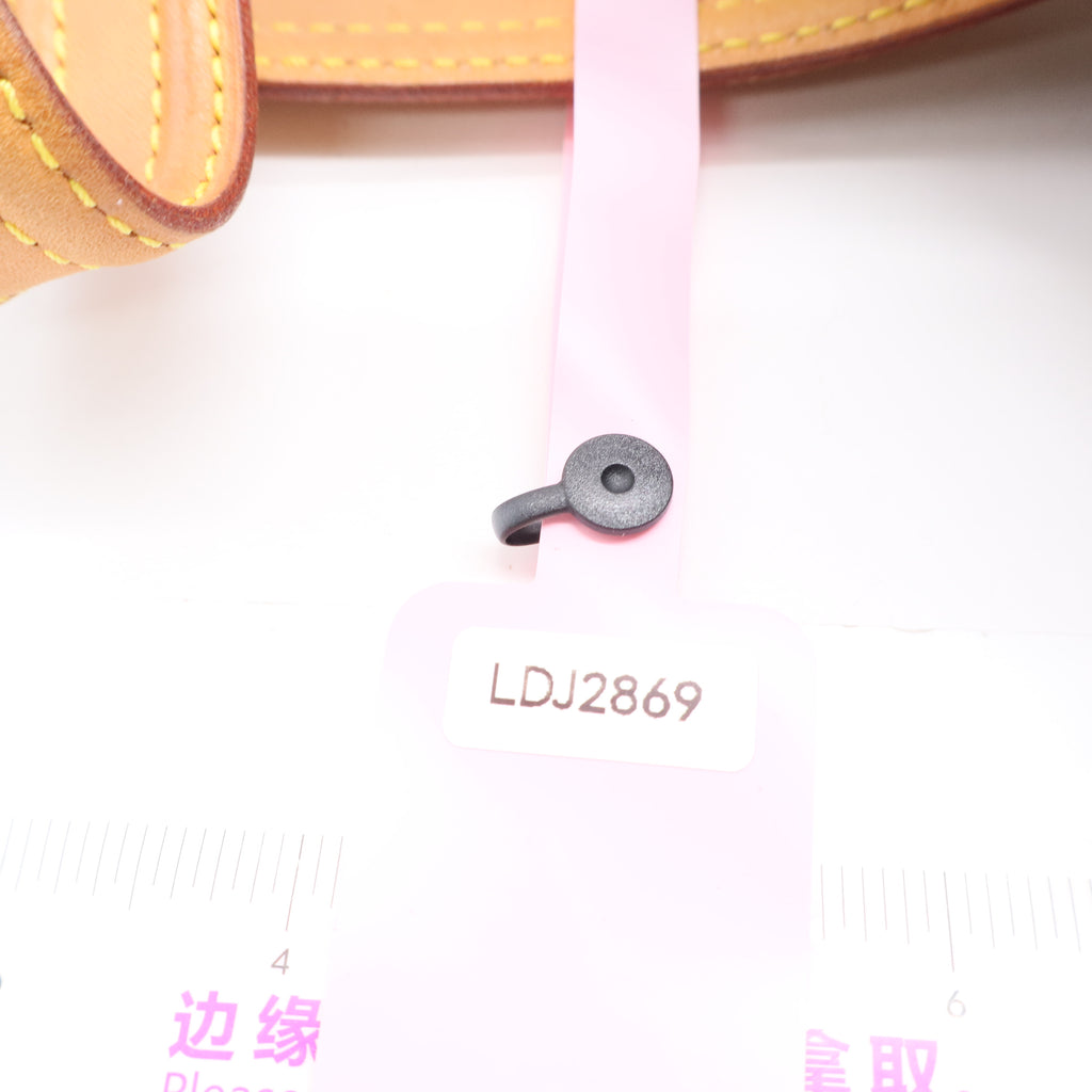 Monogram Canvas Multipli Cite BagTwins LDJ2869