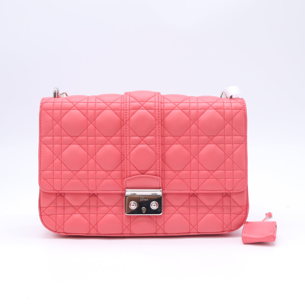 Christian Dior Leather Miss Dior B24030