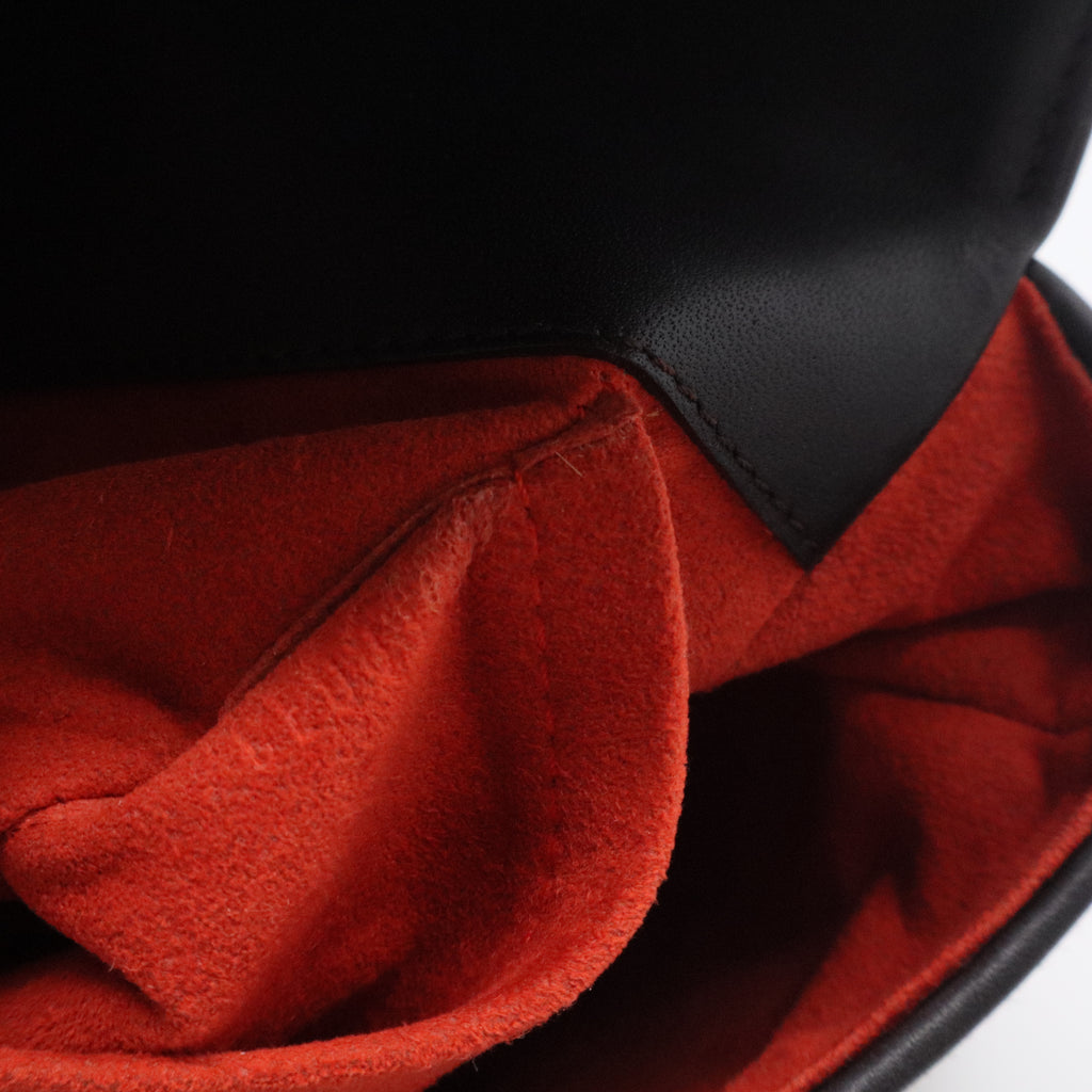 Damier Sauvage Lion Bag