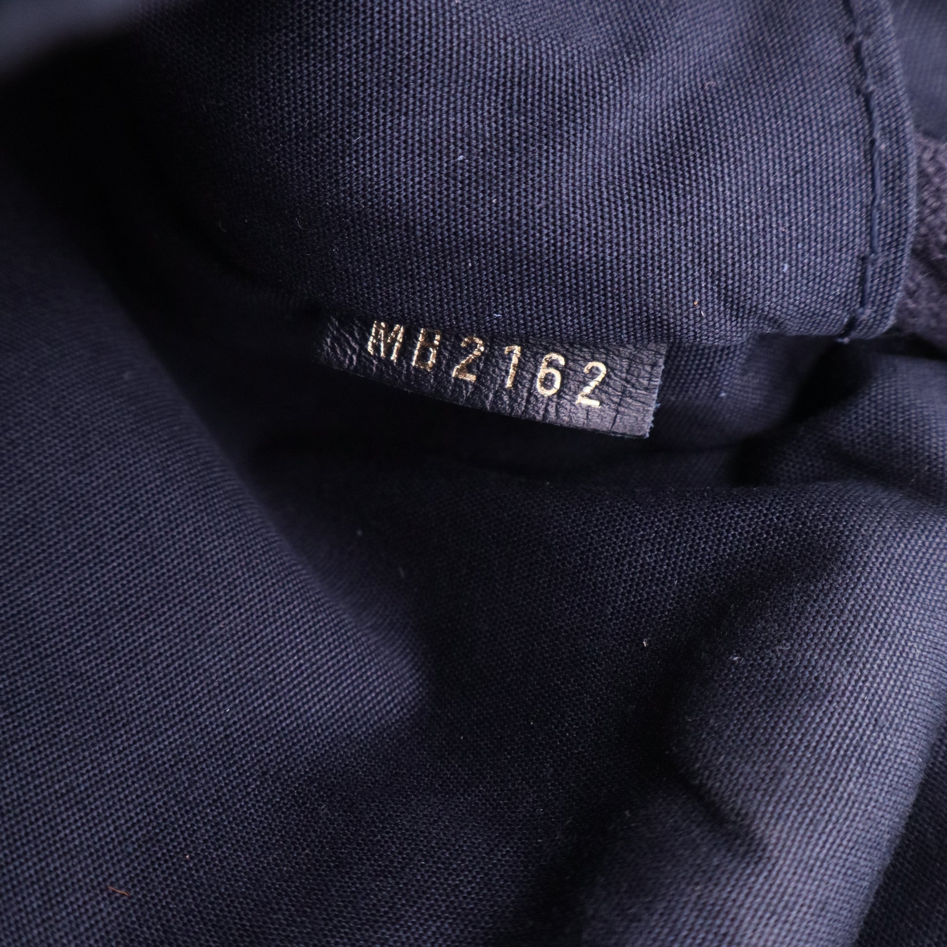 Encre Monogram Idylle Saumur PM Bag twins