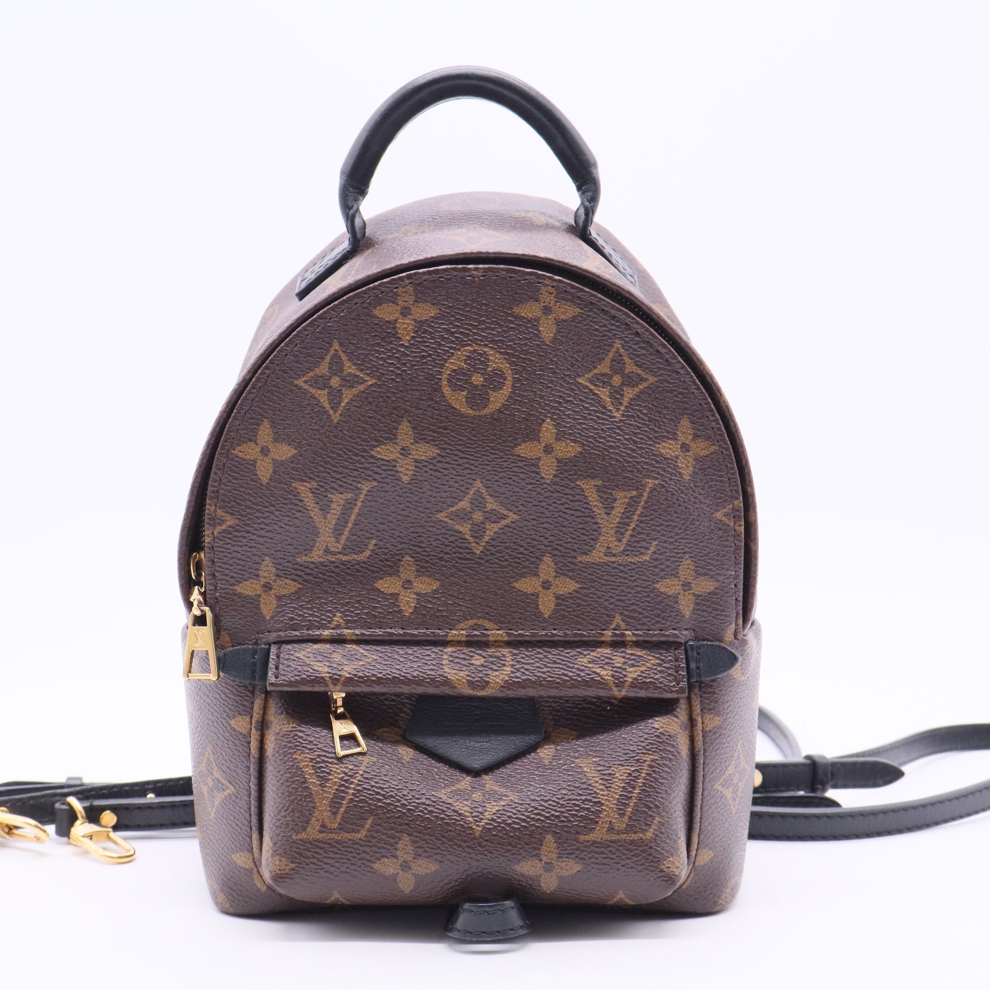 Palm Springs Backpack Monogram Canvas Mini Twins