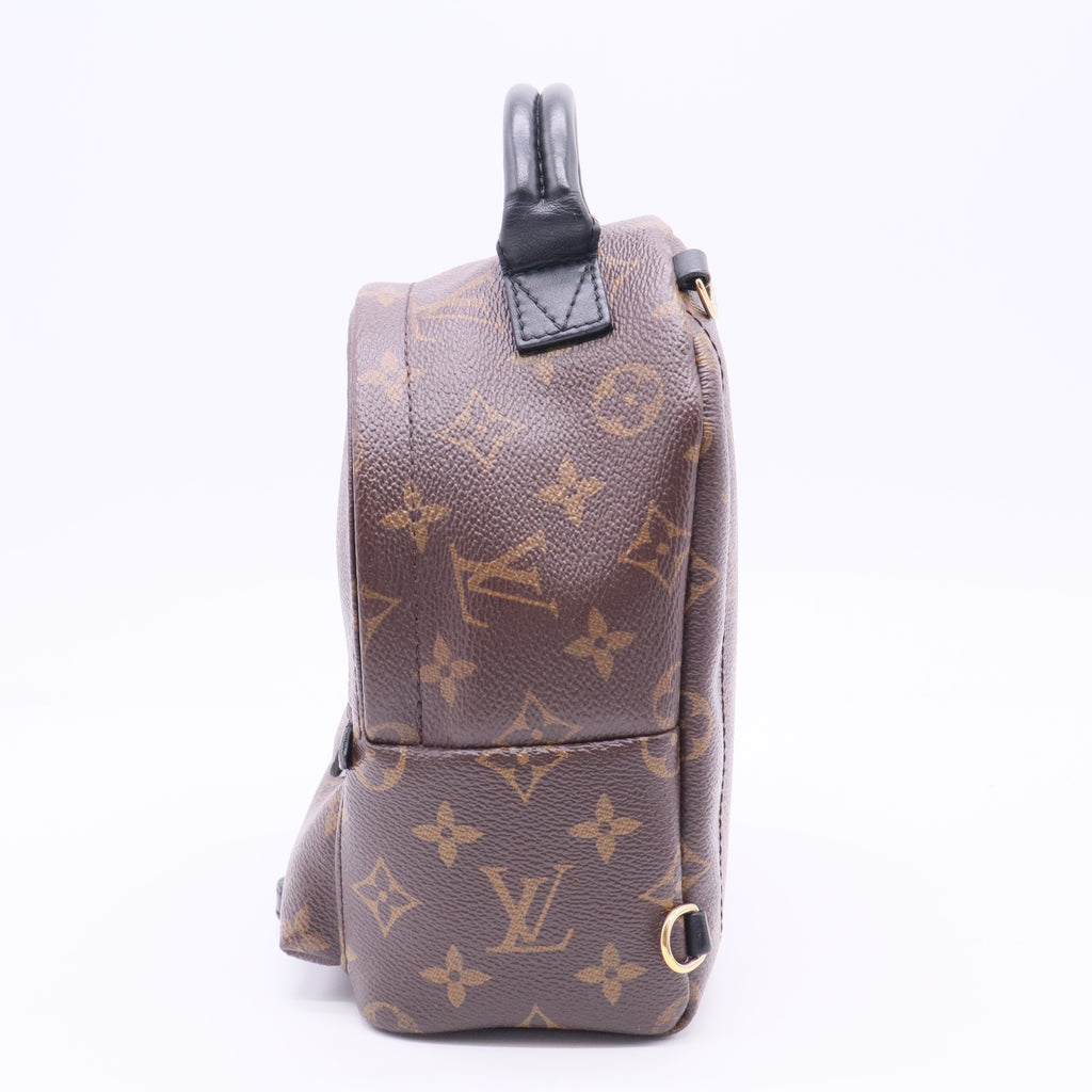 Palm Springs Backpack Monogram Canvas Mini Twins