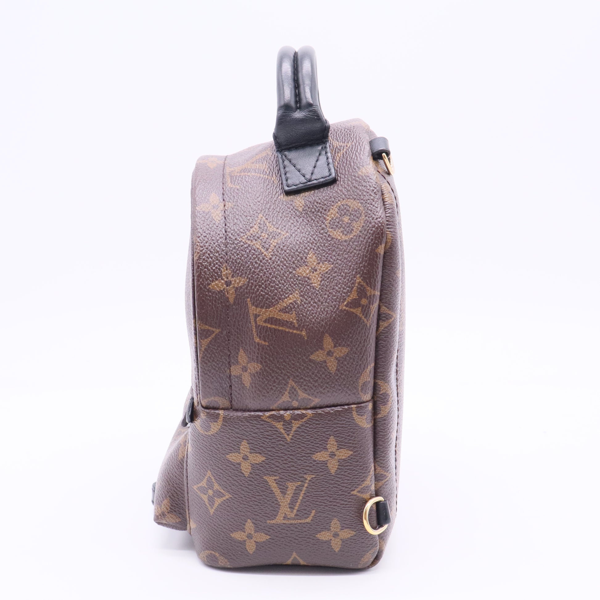 Palm Springs Backpack Monogram Canvas Mini Twins