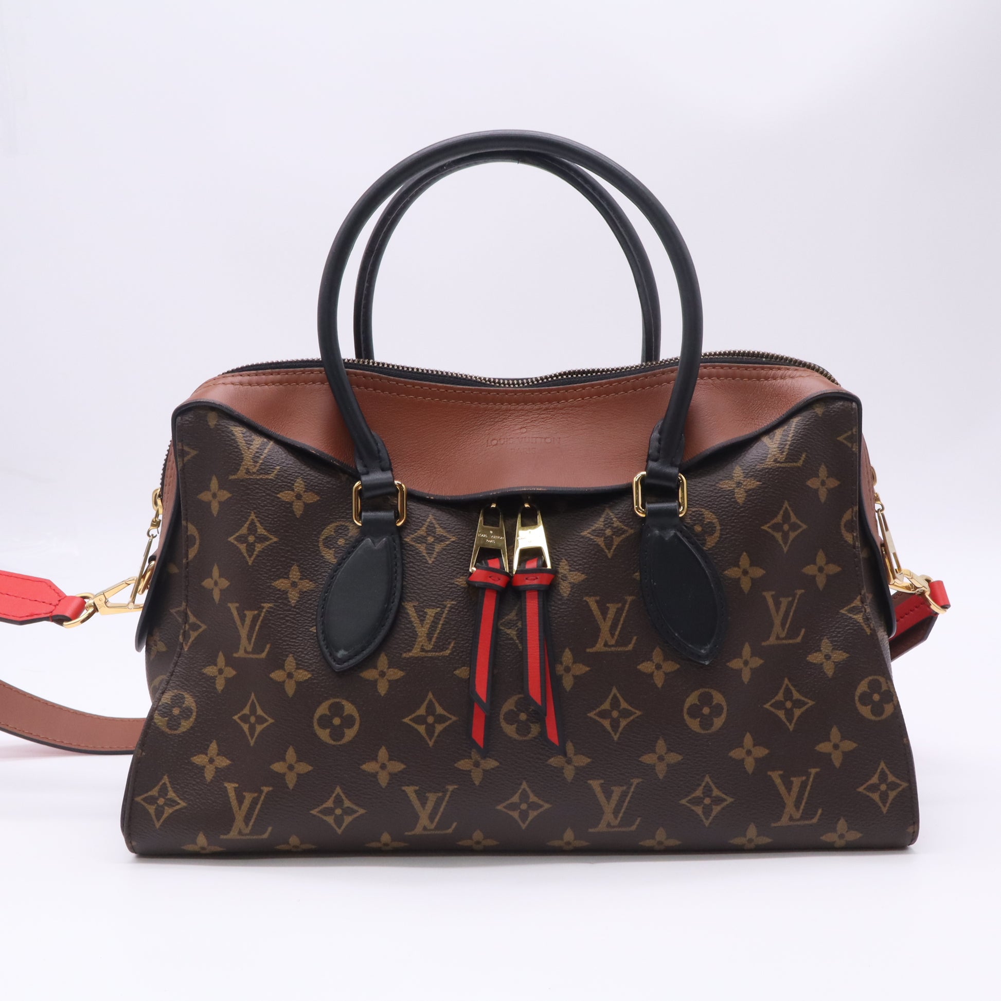 Louis Vuitton Monogram Canvas and Tricolor Leather Tuileries NM Bag Twins LDJ5017