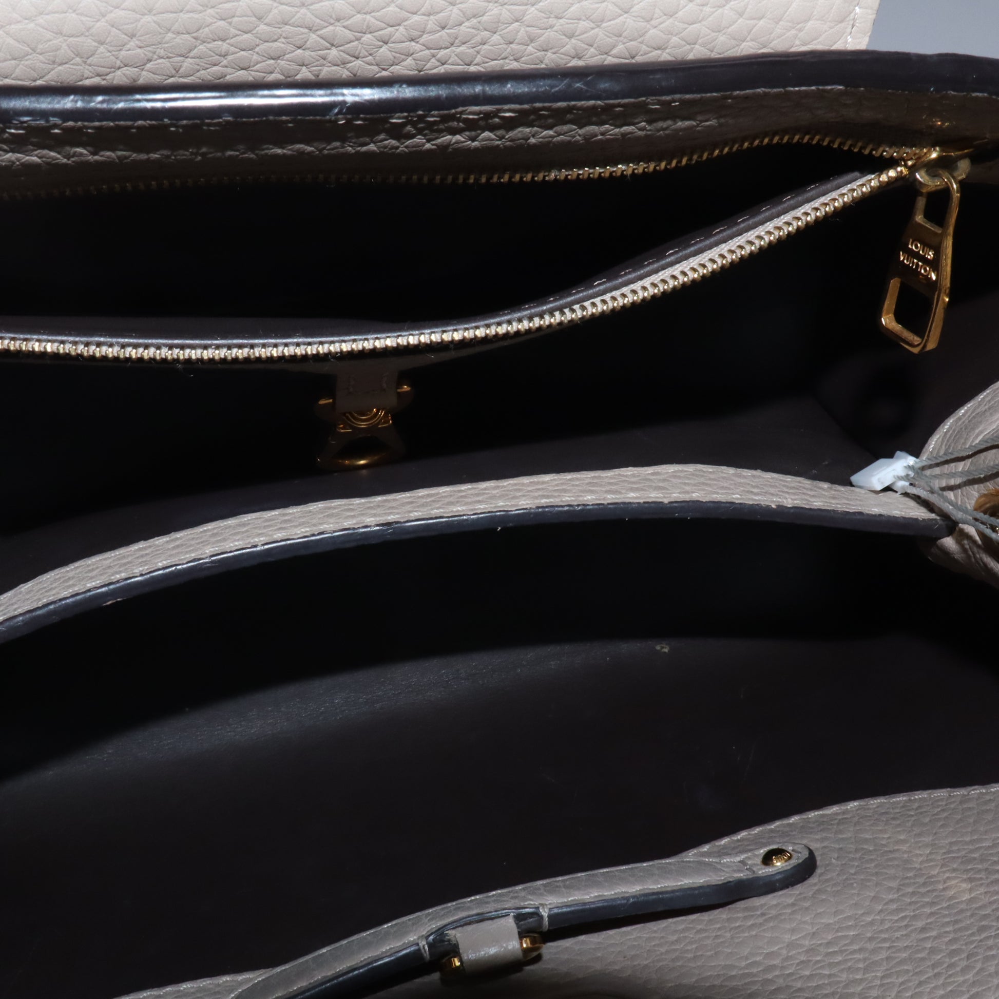 Louis Vuitton Taurillon Leather Capucines MM twins LDJ5813