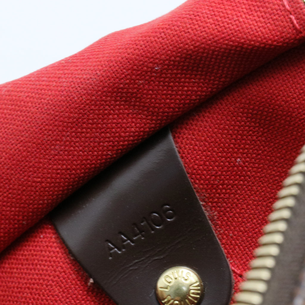Speedy Handbag Damier 30