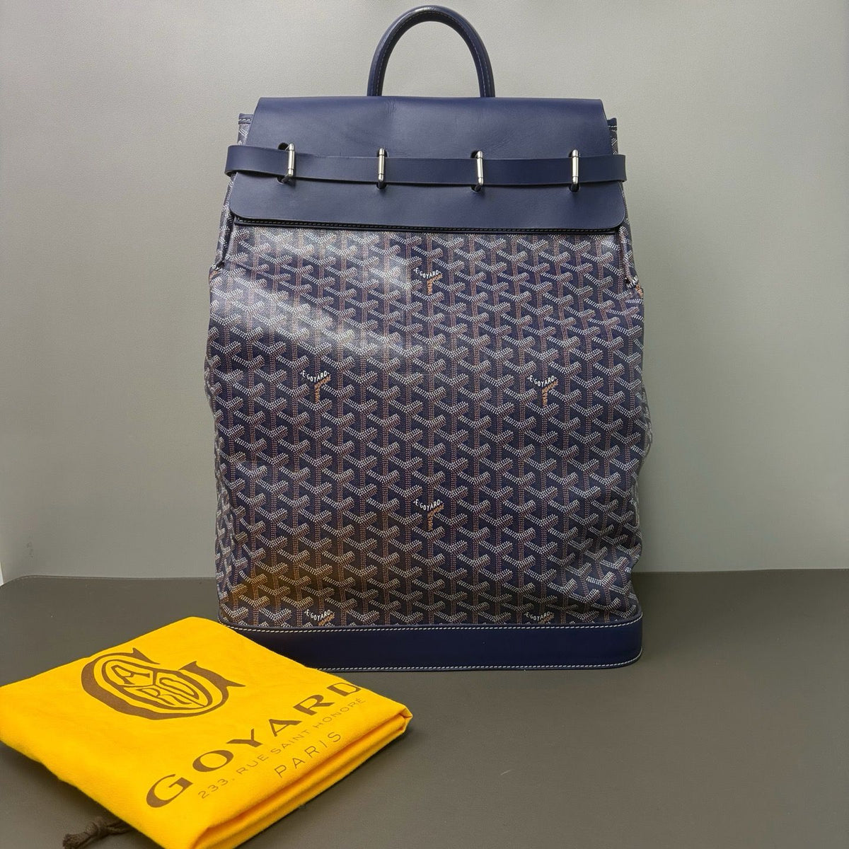 Goyard Steamer PM Bag twins LDZ1429