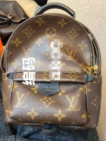 Louis Vuitton Monogram backpack B21058