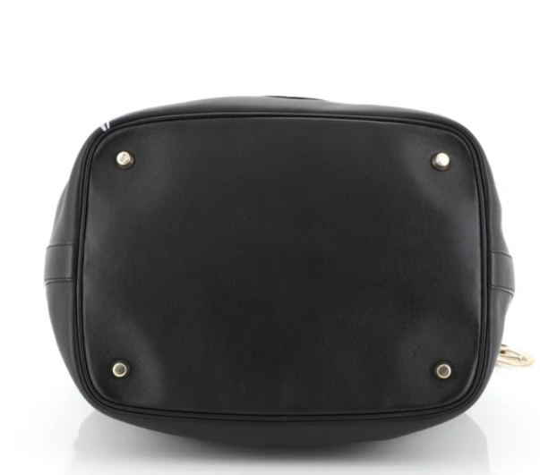 Christian Dior Paradise Bubble Bag Calfskin