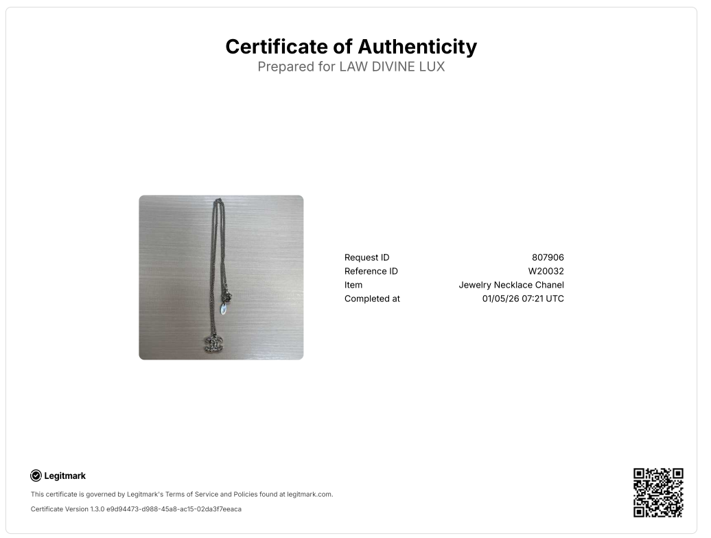 Authentic Silver Logo Necklace -W20032