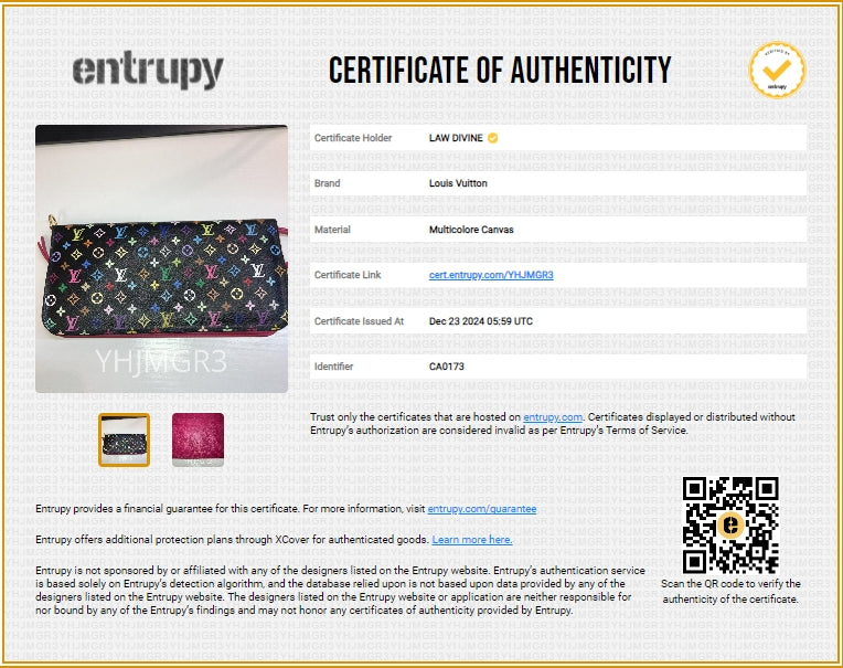 Insolite Wallet Monogram Multicolor