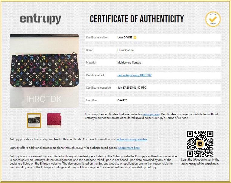 Insolite Wallet Monogram Multicolor