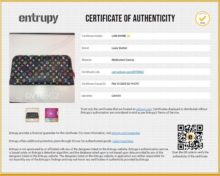 Insolite Wallet Monogram Multicolor