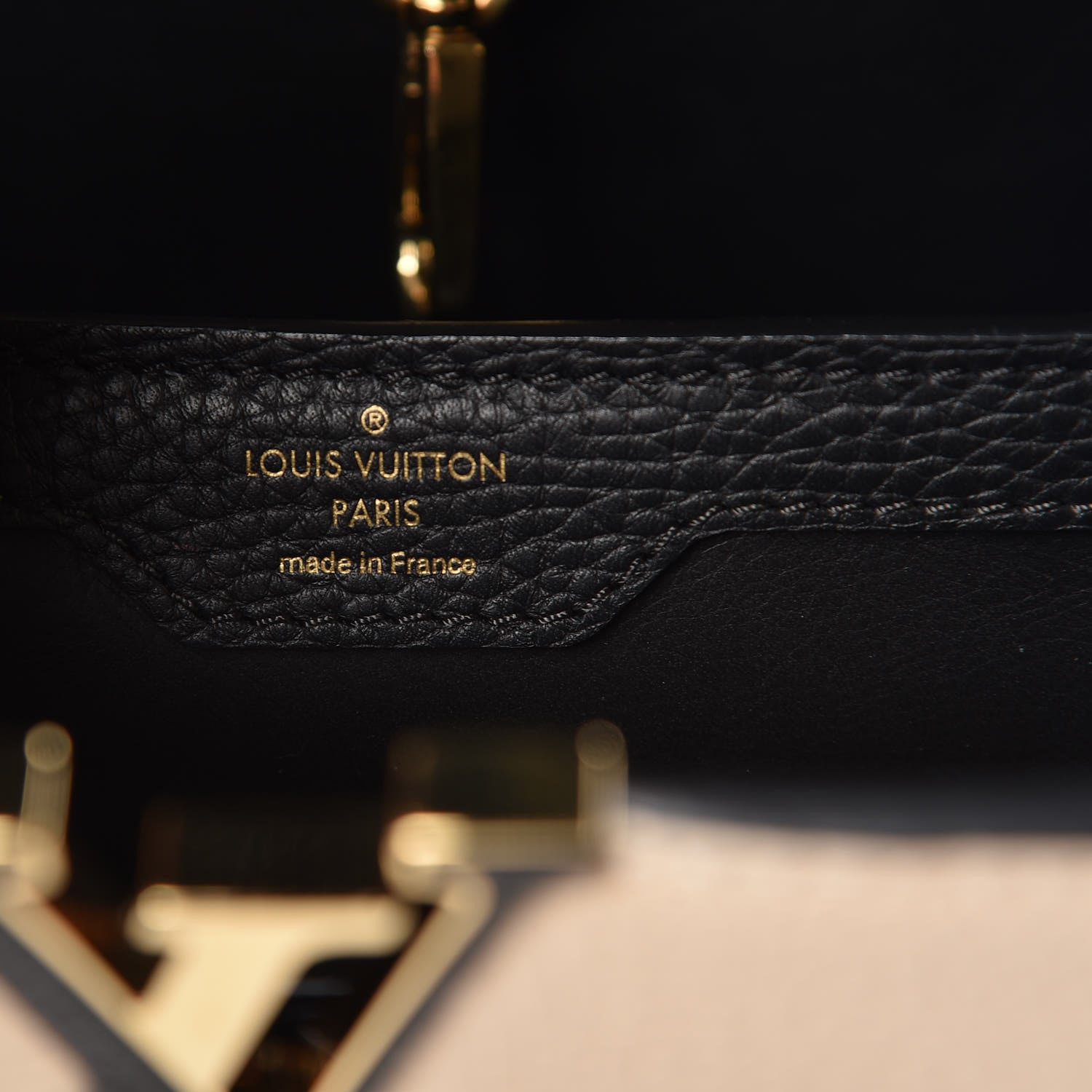 Capucines Bag Leather PM Twins