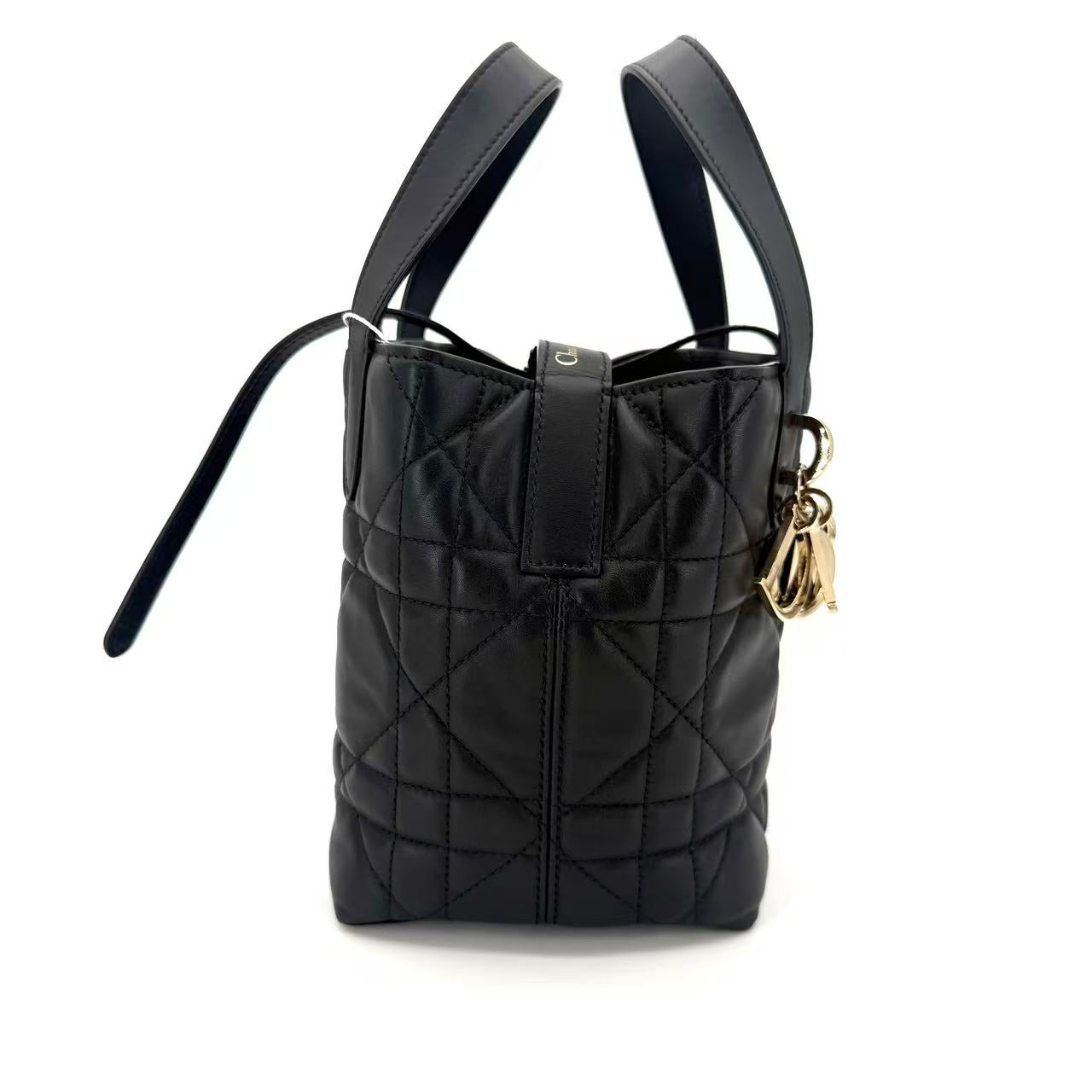 Dior Toujours Vertical Tote Bag