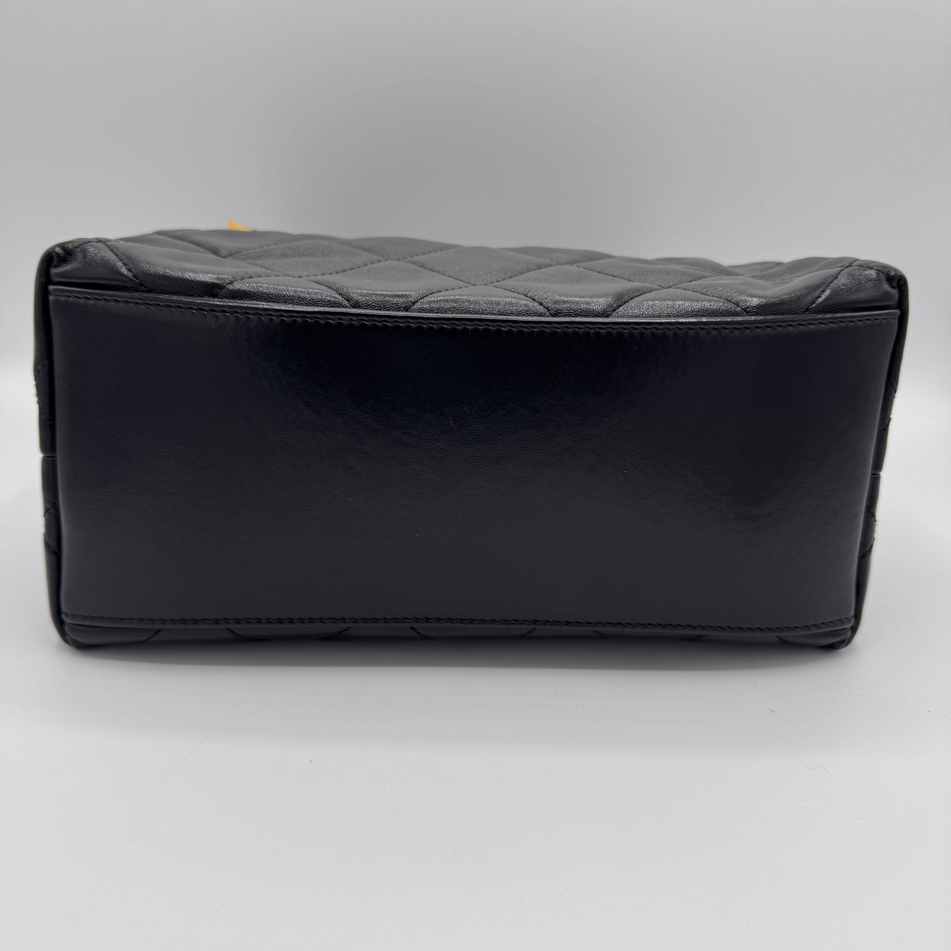 25P Hobo Handbag