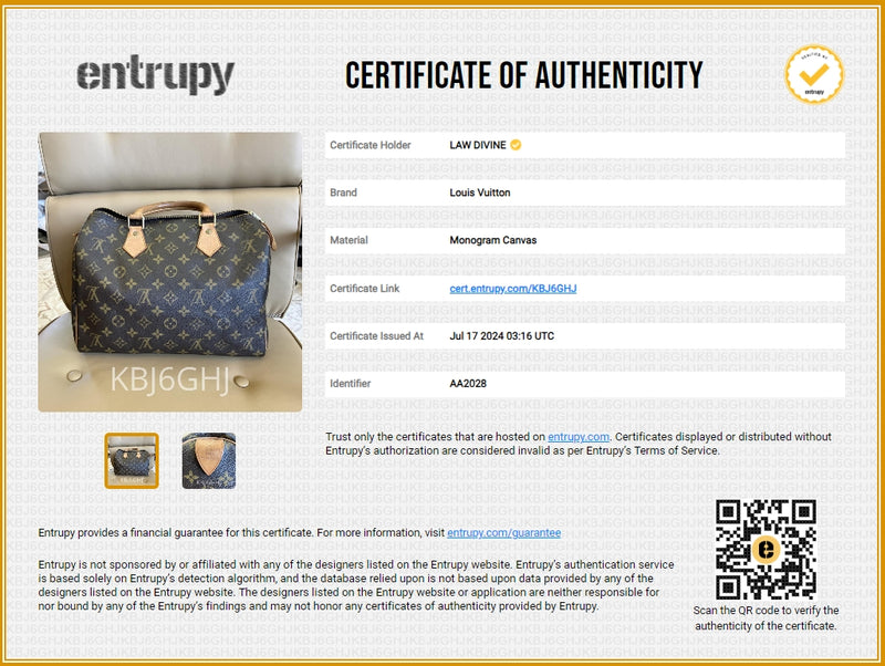 Louis Vuitton Speedy Handbag Monogram Canvas 30