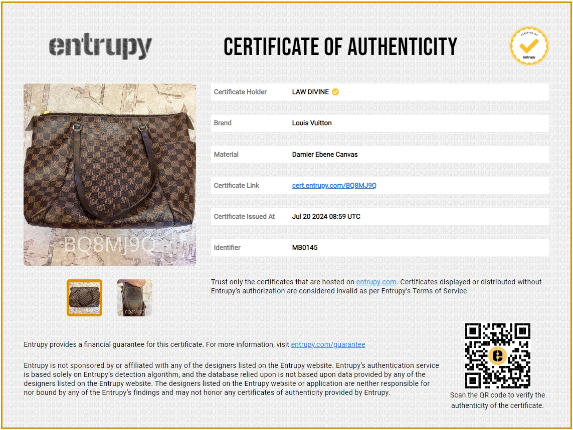 Louis Vuitton Totally Handbag Damier MM