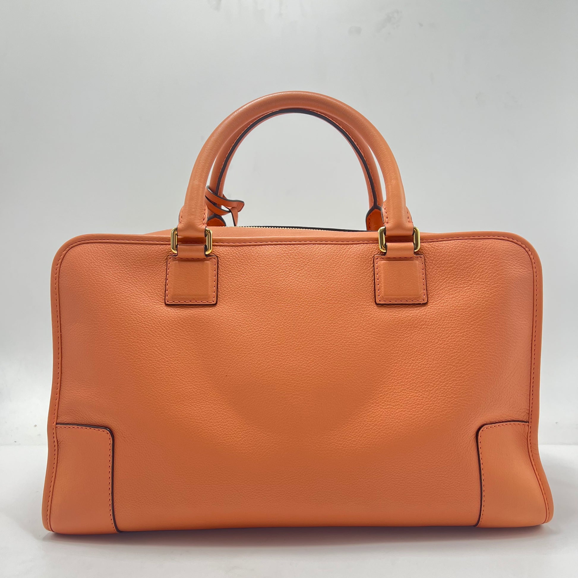 Amazona Bag Calfskin 28 Twins