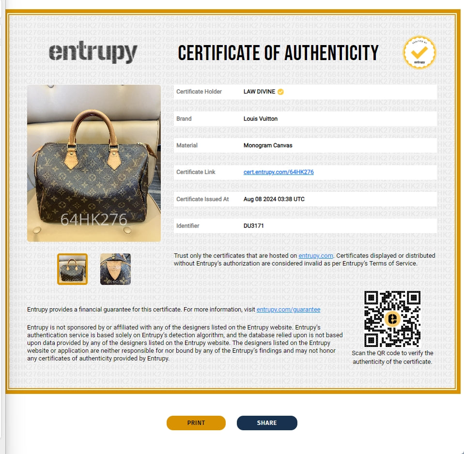 Speedy Handbag Monogram Canvas 30
