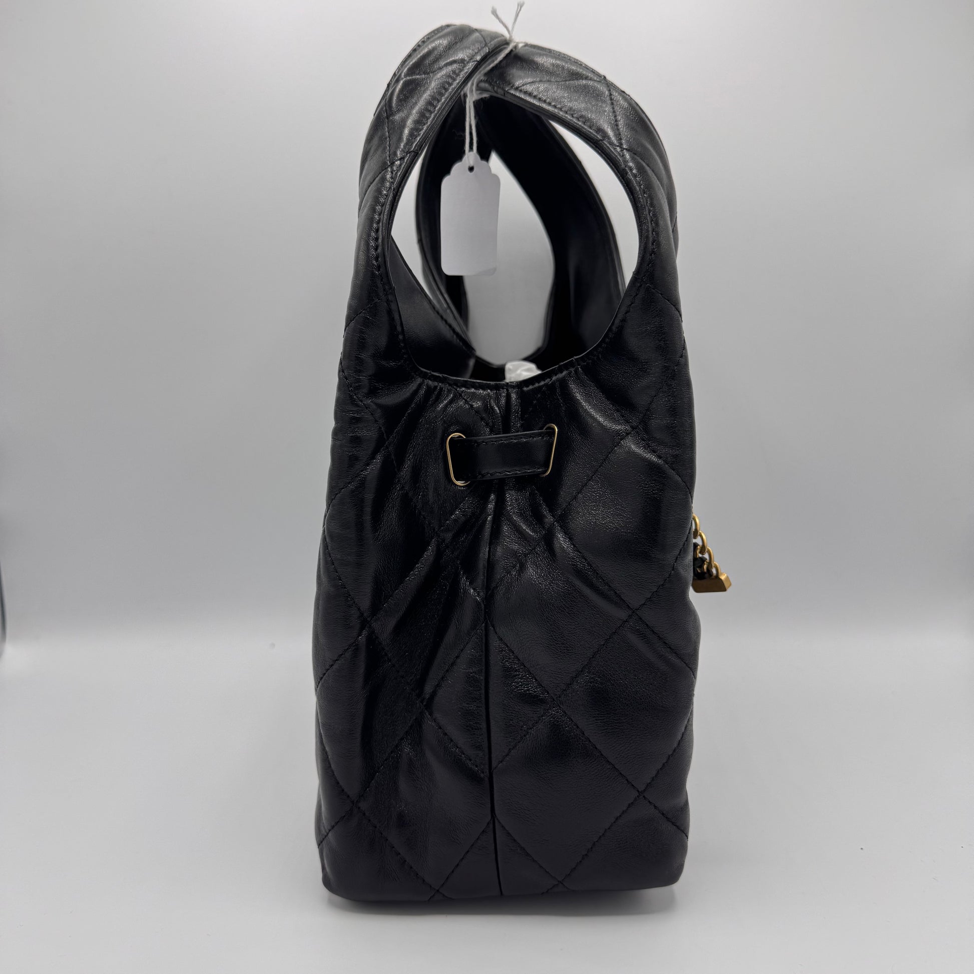 25P Hobo Handbag