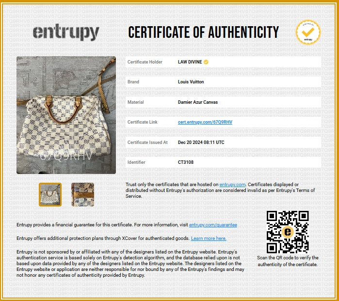 Speedy Handbag Damier 30